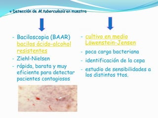    Detección de M.tuberculosis en muestra




    - Baciloscopia (BAAR)              - cultivo en medio
      bacilos ácido-alcohol              Löwenstein-Jensen
      resistentes                      - poca carga bacteriana
    - Ziehl-Nielsen                    - identificación de la cepa
    - rápida, barata y muy
                                       - estudio de sensibilidades a
      eficiente para detectar            los distintos ttos.
      pacientes contagiosos
 