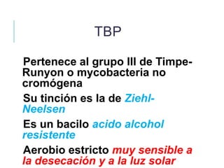 TBP

Pertenece al grupo III de Timpe-
Runyon o mycobacteria no
cromógena
Su tinción es la de Ziehl-
Neelsen
Es un bacilo acido alcohol
resistente
Aerobio estricto muy sensible a
la desecación y a la luz solar
 