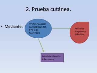 2. Prueba cutánea.
• Mediante:

TEST CUTÁNO DE
LA TUBERCULINA,
PPD o de
MANTOUX

Rebela la infección
tuberculosa.

NO indica
diagnóstico
definitivo.

 