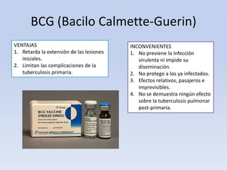 BCG (Bacilo Calmette-Guerin)
VENTAJAS
1. Retarda la extensión de las lesiones
iniciales.
2. Limitan las complicaciones de la
tuberculosis primaria.

INCONVENIENTES
1. No previene la infección
virulenta ni impide su
diseminación.
2. No protege a los ya infectados.
3. Efectos relativos, pasajeros e
imprevisibles.
4. No se demuestra ningún efecto
sobre la tuberculosis pulmonar
post-primaria.

 