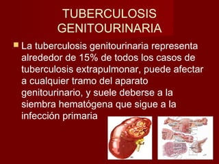 TUBERCULOSIS
GENITOURINARIA
 La tuberculosis genitourinaria representa
alrededor de 15% de todos los casos de
tuberculosis extrapulmonar, puede afectar
a cualquier tramo del aparato
genitourinario, y suele deberse a la
siembra hematógena que sigue a la
infección primaria
 