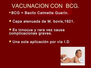 VACUNACION CON BCG.
 BCG = Bacilo Calmette Guerin.
 Cepa atenuada de M. bovis,1921.
 Es innocua y rara vez causa
complicaciones graves.
 Una sola aplicación por vía I.D
 