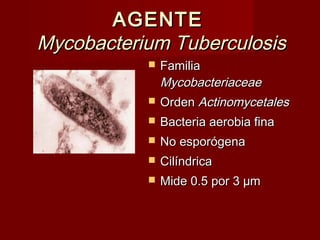 AGENTEAGENTE
Mycobacterium TuberculosisMycobacterium Tuberculosis
 FamiliaFamilia
MycobacteriaceaeMycobacteriaceae
 OrdenOrden ActinomycetalesActinomycetales
 Bacteria aerobia finaBacteria aerobia fina
 No esporógenaNo esporógena
 CilíndricaCilíndrica
 Mide 0.5 por 3 µmMide 0.5 por 3 µm
 