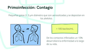 Primoinfección: Contagio
Pequeñas gotas 2- 3 µm diámetro que son aerosolizadas y se depositan en
los alvéolos.
> 105 bacilos/mL
De los contactos infectados un 10%
desarrollará la enfermedad a lo largo
de su vida.
 