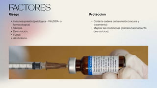 • Inmunosupresión (patologica - VIH/SIDA- o
farmacologica)
• Silicosis.
• Desnutrición.
• Fumar.
• Alcoholismo.
Riesgo
• Cortar la cadena de trasmisión (vacuna y
tratamiento)
• Mejorar las condiciones (pobreza hacinamiento
desnutricion)
Proteccíon
 