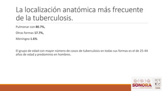 La localización anatómica más frecuente
de la tuberculosis.
Pulmonar con 80.7%,
Otras formas 17.7%,
Meníngea 1.6%.
El grupo de edad con mayor número de casos de tuberculosis en todas sus formas es el de 25-44
años de edad y predominio en hombres.
 