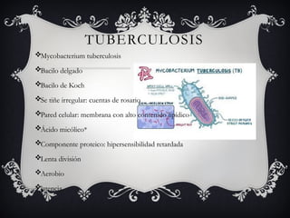 TUBERCULOSIS
Mycobacterium tuberculosis
Bacilo delgado
Bacilo de Koch
Se tiñe irregular: cuentas de rosario
Pared celular: membrana con alto contenido lipídico
Ácido micólico*
Componente proteico: hipersensibilidad retardada
Lenta división
Aerobio
latencia
 