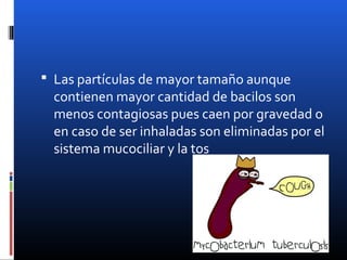  Las partículas de mayor tamaño aunque
contienen mayor cantidad de bacilos son
menos contagiosas pues caen por gravedad o
en caso de ser inhaladas son eliminadas por el
sistema mucociliar y la tos
 