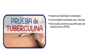  Hipersensibilidad retardada
 Inmunidad mediada por células
 Derivado proteico purificado de
tuberculina (PPD)
 