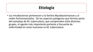 Etiología
• Las micobacterias pertenecen a la familia Mycobacteriaceae y al
orden Actinomycetales . De las especies patógenas que forman parte
del complejo de M. tuberculosis, que comprenden ocho distintos
grupos, el agente más importante portante y frecuente de
enfermedad en seres humanos es M. tuberculosis.
 