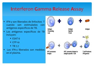Interferon Gamma Release Assay
 IFN-γ son liberados de linfocitos T
cuando son estimulados con
antigenos especificos de TB.
 Los antigenos especificos de TB
incluyen:
 ESAT 6
 CFP-10
 TB 7.7
 Los IFN-γ liberados son medidos
en el plasma.
 