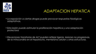 ADAPTACION HEPATICA
• La exposición a ciertas drogas puede provocar respuestas fisiológicas
adaptativas.
• Esta lesión puede estimular la proliferación hepática y una adaptación
protectora
• Elevaciones transitorias de ALT pueden reflejar ligeras, lesiones no progresivas,
de la mitocondria en el hepatocito, membrana celular u otras estructuras.
 

 