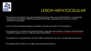 LESION HEPATOCELULAR
• Pacientes con lesión aguda hepatocelular pueden ser asintomáticos, o presentar
pródromos de fiebre, síntomas constitucionales, seguidos de nausea, vomito,
anorexia y letargia.
• Los cambios histopatológicos pueden revelar necrosis focal hepática.
 
• Incremento en niveles de transaminasas, seguido de ictericia, implica enfermedad
hepática grave con un 10% de falla fulminante, “Ley de Hy” (Hyman Zimmerman)
• Se presenta coagulopatia de 24 a 36hrs posteriores al inicio, pudiendo resolverse.
• Si persiste por 4 días es un signo de pobre pronostico.

 