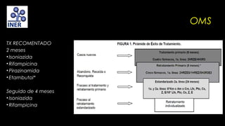 OMS
TX RECOMENTADO
2 meses
• Isoniazida
• Rifampicina
• Pirazinamida
• Etambutol*
Seguido de 4 meses
• Isoniazida
• Rifampicina

 