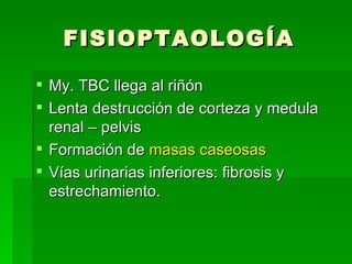 FISIOPTAOLOGÍA My. TBC llega al riñón Lenta destrucción de corteza y medula renal – pelvis Formación de masas caseosas Vías urinarias inferiores: fibrosis y estrechamiento.