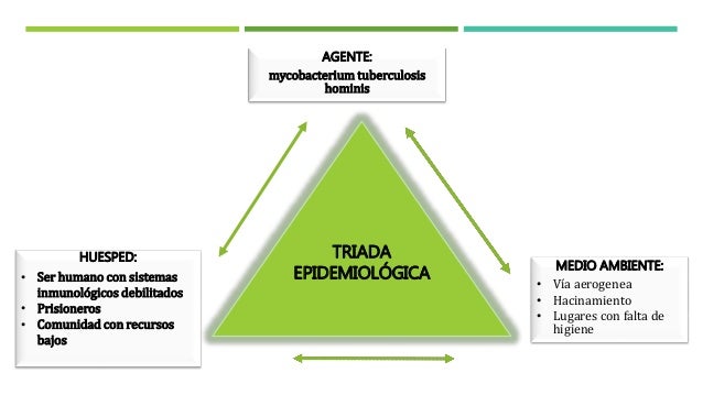 Instrucciones para momentos de soledad 10