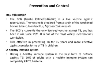 Tuberculosis (TB)-Notes.pdf microbiology notes | PDF