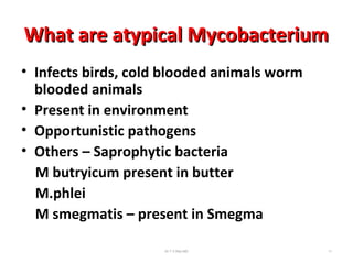 What are atypical MycobacteriumWhat are atypical Mycobacterium
• Infects birds, cold blooded animals worm
blooded animals
• Present in environment
• Opportunistic pathogens
• Others – Saprophytic bacteria
M butryicum present in butter
M.phlei
M smegmatis – present in Smegma
Dr.T.V.Rao MD 11
 