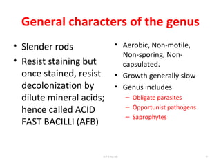 General characters of the genus
• Slender rods
• Resist staining but
once stained, resist
decolonization by
dilute mineral acids;
hence called ACID
FAST BACILLI (AFB)
• Aerobic, Non-motile,
Non-sporing, Non-
capsulated.
• Growth generally slow
• Genus includes
– Obligate parasites
– Opportunist pathogens
– Saprophytes
Dr.T.V.Rao MD 17
 