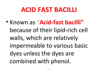 ACID FAST BACILLI
• Known as “Acid-fast bacilli"
because of their lipid-rich cell
walls, which are relatively
impermeable to various basic
dyes unless the dyes are
combined with phenol.
Dr.T.V.Rao MD 19
 