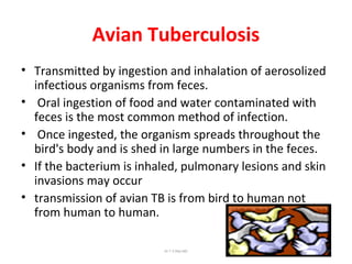 Avian Tuberculosis
• Transmitted by ingestion and inhalation of aerosolized
infectious organisms from feces.
• Oral ingestion of food and water contaminated with
feces is the most common method of infection.
• Once ingested, the organism spreads throughout the
bird's body and is shed in large numbers in the feces.
• If the bacterium is inhaled, pulmonary lesions and skin
invasions may occur
• transmission of avian TB is from bird to human not
from human to human.
Dr.T.V.Rao MD 21
 