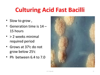 Culturing Acid Fast Bacilli
• Slow to grow ,
• Generation time is 14 –
15 hours
• > 2 weeks minimal
required period
• Grows at 370
c do not
grow below 250
c
• Ph between 6.4 to 7.0
Dr.T.V.Rao MD 27
 