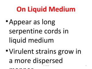 On Liquid Medium
•Appear as long
serpentine cords in
liquid medium
•Virulent strains grow in
a more dispersedDr.T.V.Rao MD 35
 