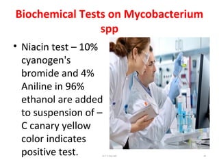 Biochemical Tests on Mycobacterium
spp
• Niacin test – 10%
cyanogen's
bromide and 4%
Aniline in 96%
ethanol are added
to suspension of –
C canary yellow
color indicates
positive test. Dr.T.V.Rao MD 38
 