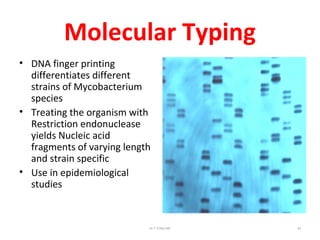 Molecular Typing
• DNA finger printing
differentiates different
strains of Mycobacterium
species
• Treating the organism with
Restriction endonuclease
yields Nucleic acid
fragments of varying length
and strain specific
• Use in epidemiological
studies
Dr.T.V.Rao MD 43
 