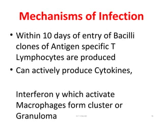 Mechanisms of Infection
• Within 10 days of entry of Bacilli
clones of Antigen specific T
Lymphocytes are produced
• Can actively produce Cytokines,
Interferon γ which activate
Macrophages form cluster or
Granuloma Dr.T.V.Rao MD 56
 