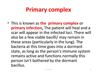 Primary complex
• This is known as the primary complex or
primary infection. The patient will heal and a
scar will appear in the infected loci. There will
also be a few viable bacilli/ may remain in
these areas (particularly in the lung). The
bacteria at this time goes into a dormant
state, as long as the person's immune system
remains active and functions normally this
person isn't bothered by the dormant
bacillus.
Dr.T.V.Rao MD 65
 