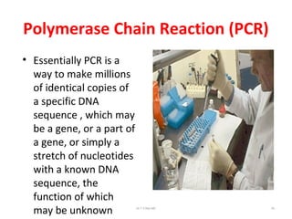 • Essentially PCR is a
way to make millions
of identical copies of
a specific DNA
sequence , which may
be a gene, or a part of
a gene, or simply a
stretch of nucleotides
with a known DNA
sequence, the
function of which
may be unknown
Polymerase Chain Reaction (PCR)
Dr.T.V.Rao MD 93
 