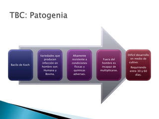 Bacilo de Koch:
Variedades que
producen
infección en
hombre son:
Humana y
Bovina.
Altamente
resistente a
condiciones
físicas y
químicas
adversas.
Fuera del
hombre es
incapaz de
multiplicarse.
Difícil desarrollo
en medio de
cultivo:
Requiriendo
entre 30 y 60
días.
 