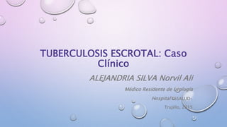 TUBERCULOSIS ESCROTAL: Caso
Clínico
ALEJANDRIA SILVA Norvil Ali
Médico Residente de Urología
Hospital ESSALUD-
Trujillo, 2015
 
