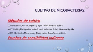 CULTIVO DE MICOBACTERIAS:
Métodos de cultivo:
LOwenstein — Jensen, Ogawa y agar 7H10: Muestra solida
MGIT (del inglés Mycobacteria Growth Indicator Tube): Muestra liquida
MODS (del inglés Microscopic Observation Drug Susceptibility)
Pruebas de sensibilidad indirecta:
 