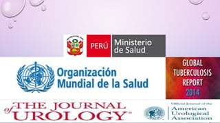 Tuberculosis urogenital