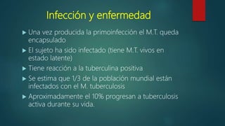 Infección y enfermedad
 Una vez producida la primoinfección el M.T. queda
encapsulado
 El sujeto ha sido infectado (tiene M.T. vivos en
estado latente)
 Tiene reacción a la tuberculina positiva
 Se estima que 1/3 de la población mundial están
infectados con el M. tuberculosis
 Aproximadamente el 10% progresan a tuberculosis
activa durante su vida.
 