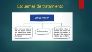 Esquemas de tratamiento
 