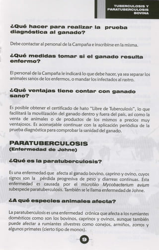 Tuberculosis y paratuberculosis bovina