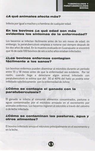 Tuberculosis y paratuberculosis bovina