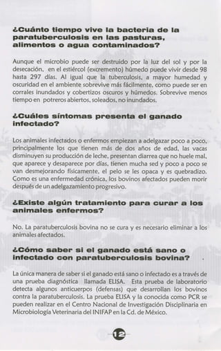 Tuberculosis y paratuberculosis bovina