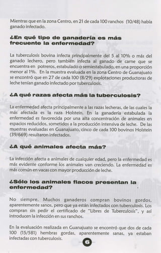 Tuberculosis y paratuberculosis bovina