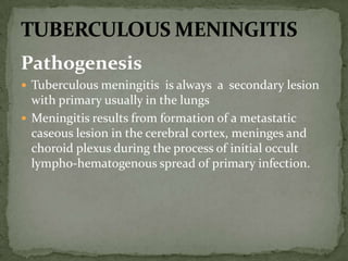Pathogenesis
 Tuberculous meningitis is always a secondary lesion
with primary usually in the lungs
 Meningitis results from formation of a metastatic
caseous lesion in the cerebral cortex, meninges and
choroid plexus during the process of initial occult
lympho-hematogenous spread of primary infection.
 