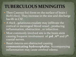  Then Caseous foci form on the surface of brain (
Rich’s foci). They increase in the size and discharge
bacilli in CSF.
 A thick , gelatinous exudate may infiltrate the
cortical or meningeal blood vessel , producing
inflammation, obstruction , or infarction .
 Most commonly involved site is the brain stem
causing frequent involvement of 3rd , 6th and 7th
cranial nerves.
 Basal cisterns are obstructed causing
communicating hydrocephalus. Accompanying
inflammation may cause cerebral edema.
 