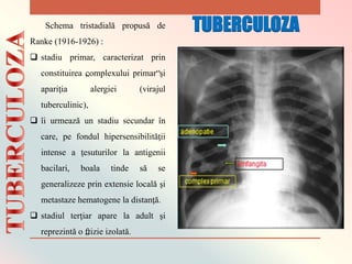 Schema tristadială propusă de
Ranke (1916-1926) :
 stadiu primar, caracterizat prin
constituirea „complexului primar“şi
apariţia alergiei (virajul
tuberculinic),
 îi urmează un stadiu secundar în
care, pe fondul hipersensibilităţii
intense a ţesuturilor la antigenii
bacilari, boala tinde să se
generalizeze prin extensie locală şi
metastaze hematogene la distanţă.
 stadiul terţiar apare la adult şi
reprezintă o „ftizie izolată.
TUBERCULOZA
 
