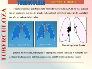 Focarul pulmonar constituit după pătrunderea bacilului KOCH pe cale aeriană
într-un organism indemn de infecţie tuberculoasă reprezintă şancrul de inoculare
sau afectul primar tuberculos.
Şancrul de inoculare, limfangita şi adenopatia satelită sunt cele 3 elemente care
definesc triada anatomo-patologică cunoscută drept Complexul primar Ranke.
Complex primar Ranke
TUBERCULOZA
 