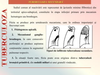 Ftizia se produce prin urmǎtoarele mecanisme, care ȋn ordinea importanței și
frecvenței sunt:
2. Mecanismul ganglio-
bronhogen, ȋn care consecutiv
perforației se produce aspirarea
conținutului cazeos ȋn segmentul
pulmonar respectiv.
1. Ftiziogeneza apicalǎ.
Sediul comun al reactivării este reprezentat de „leziunile minime “(fibrotice) din
teritoriul apico-subapical, constituite în etapa infecţiei primare prin mecanism
hematogen sau bronhogen.
3. Ȋn situații foarte rare, ftizia poate avea originea dintr-o tuberculozǎ
bronșicǎ primitivǎ, din nodulii miliari ai unei granulii vindecate.
Tipuri de infiltrate tuberculoase secundare.
 