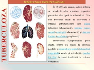 În 15–20% din cazurile active, infecția
se extinde în afara aparatului respirator,
provocând alte tipuri de tuberculoză. Cele
mai frecvente locuri de dezvoltare a
infecției extrapulmonare sunt: pleura
(pleurezie tuberculoasă), sistemul nervos
central (meningită tuberculoasă) și sistemul
limfatic (scrofuloză ganglionară).
Tuberculoza extrapulmonară poate
afecta, printre alte locuri de infectare
posibile, și sistemul uro-genital (tuberculoză
urogenitală), oasele și articulațiile (morbul
lui Pott în cazul localizării la coloana
vertebrală).
 