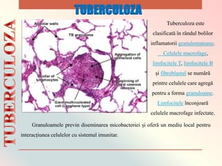 Tuberculoza este
clasificată în rândul bolilor
inflamatorii granulomatoase.
Celulele macrofage,
limfocitele T, limfocitele B
și fibroblastul se numără
printre celulele care agregă
pentru a forma granuloame.
Limfocitele înconjoară
celulele macrofage infectate.
Granuloamele previn diseminarea micobacteriei și oferă un mediu local pentru
interacțiunea celulelor cu sistemul imunitar.
TUBERCULOZA
 