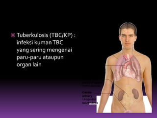  Tuberkulosis (TBC/KP) :
infeksi kumanTBC
yang sering mengenai
paru-paru ataupun
organ lain
 